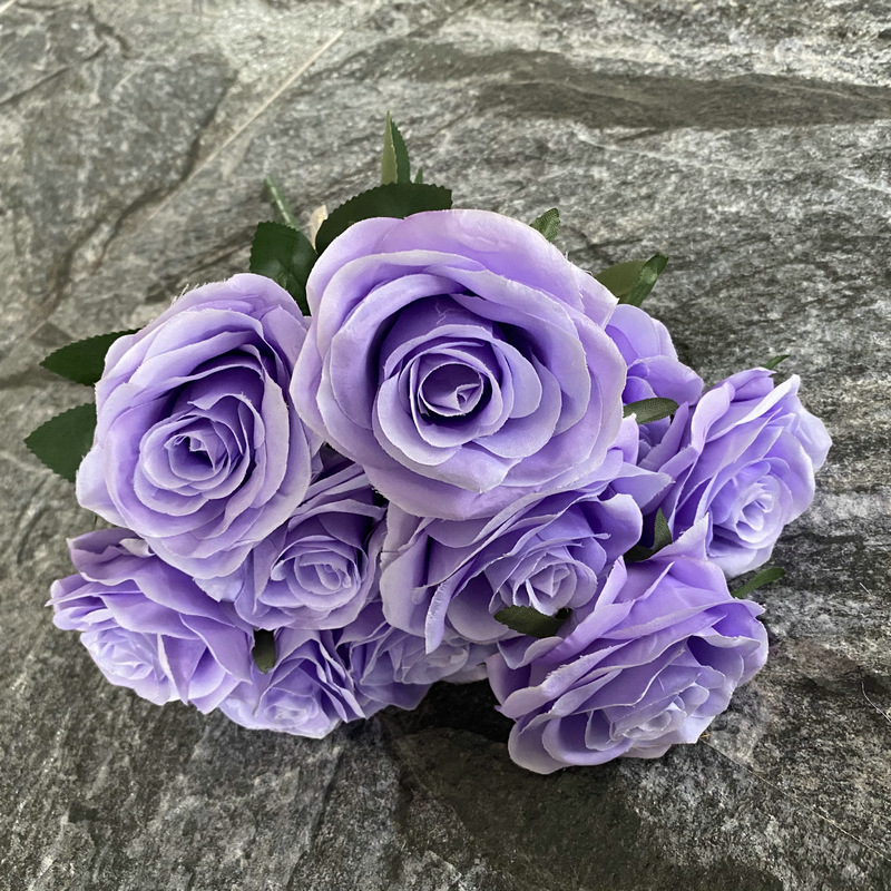 Viola chiaro