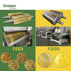 Dövme çelik dökme demir İki rulo değirmen soğuk Mill hane iş ruloları mısır Flaker makinesi için geri rulo - Product Image 2