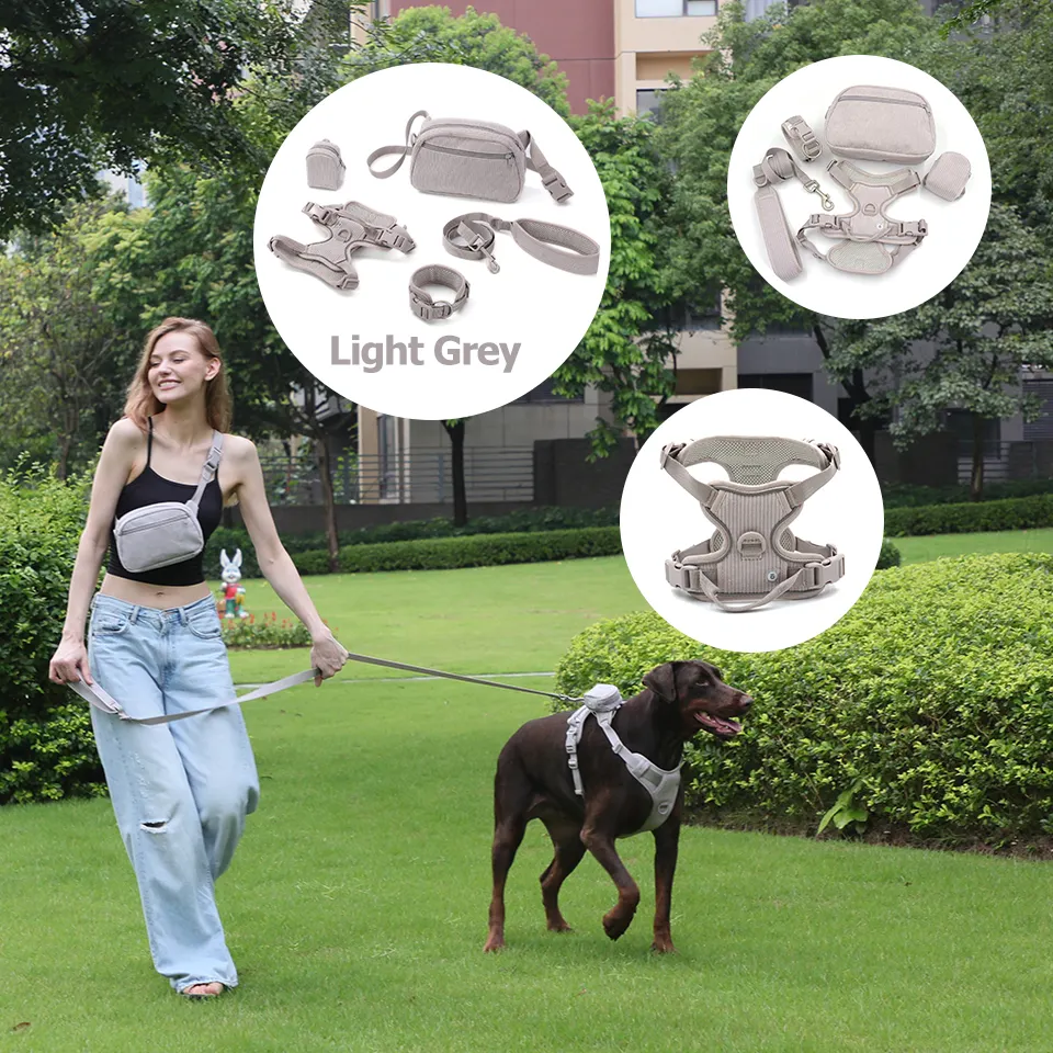 Los 100 productos más comprados en 2023 collar de Mascota de lujo popular arnés de perro de pana diseño de mochila escolar bolsa de perro lindo soporte para caca