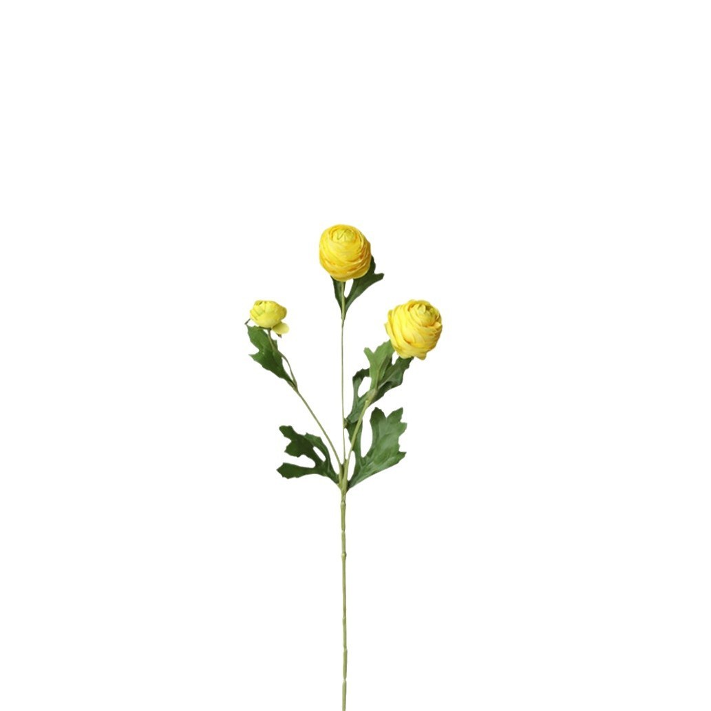 Jaune