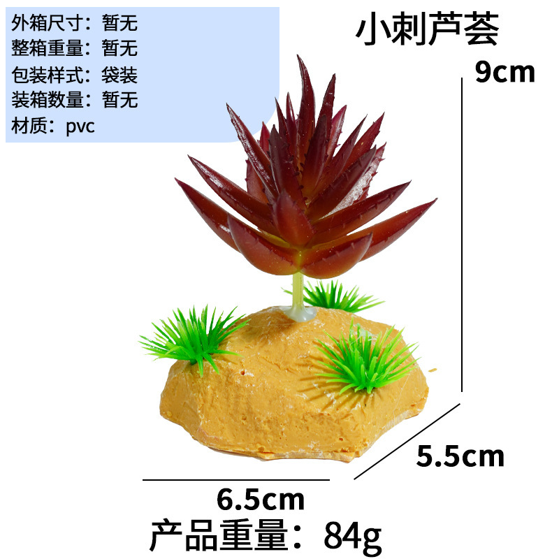 Aloe a spine piccole