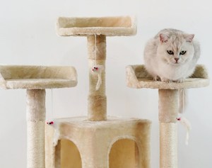 Relipet大型宠物公寓豪华家具大型猫树批发猫抓柱树木材 - Product Image 4