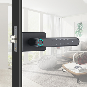 Security Smart Biometric Fingerprint Door <strong>Lock</strong> TTLock APP Password <strong>Key</strong> for Glass Door <strong>Lock</strong> - Product Image 2