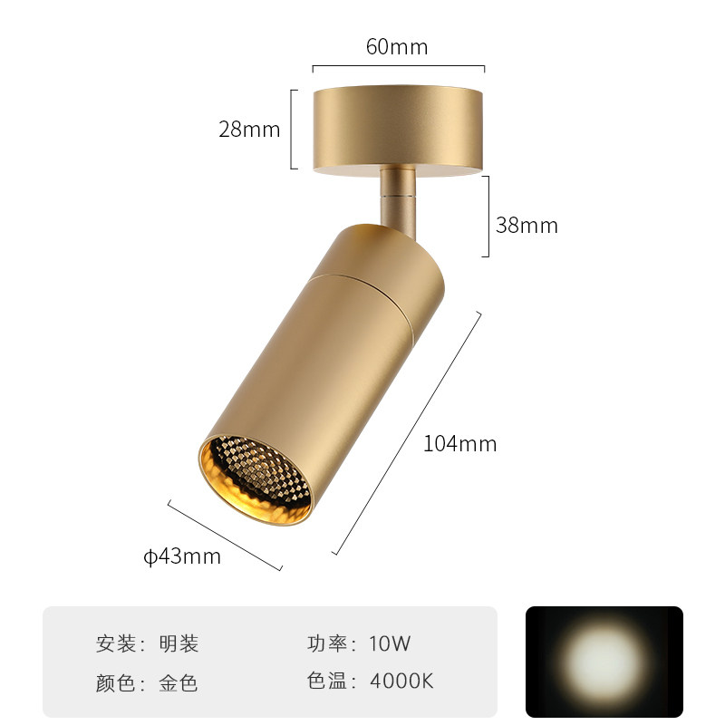 10w-4000k-gold-open dress