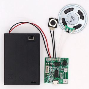 Video ve kayıt şimdi stok ses amplifikatörü akustik sensör Usb kaydedici Mini modülü <span class=keywords><strong>Avt</strong></span> Mp3 ses modülleri hediye zanaat oyuncak