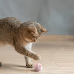 Smart Rechargeable Electric <strong>Catnip</strong> Ball Toy Durable Wood Interactive Pet Toy With Automatic Gravity <strong>Rolling</strong> for <strong>Cats</strong> and Dogs - Product Image 5