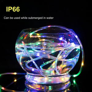 Christmas Supporting <strong>Custom</strong> Battery Operated USB Solar Made IP65 IP66 PVC Decorated Rainbow Tube LED Rope <strong>Lights</strong> for Holiday - Product Image 1