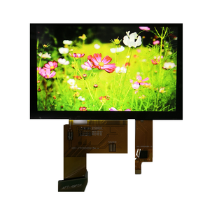 Scheda Controller Display LCD da 5 pollici TFT con chip RGB CTP e 800 Audio * 480 risoluzione del prodotto moduli LCD