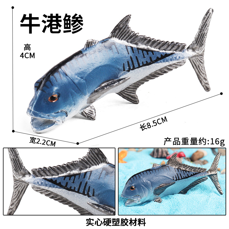 M-2769 Bull Harbor Caranx