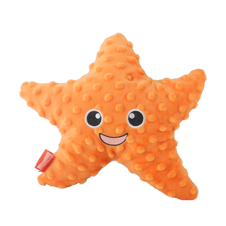 Estrella de mar naranja