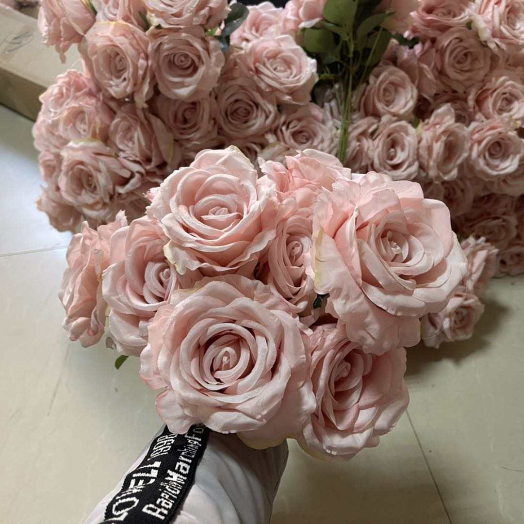 Rosa polvoriento