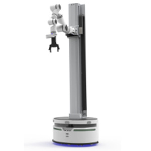 Robot de elevación móvil compuesto inteligente personalizado Automatización de brazo robot colaborativo industrial pequeño robot multieje - Product Image 4