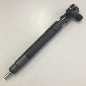 Инжектор Common Rail EMBR00301D для Delphi - Product Image 6