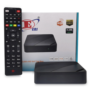 Software personalizzato Linux 4.9 sistema locale Internet TV Box ricevitore codice Xtream Stalkerx portale IPTV Linux Player