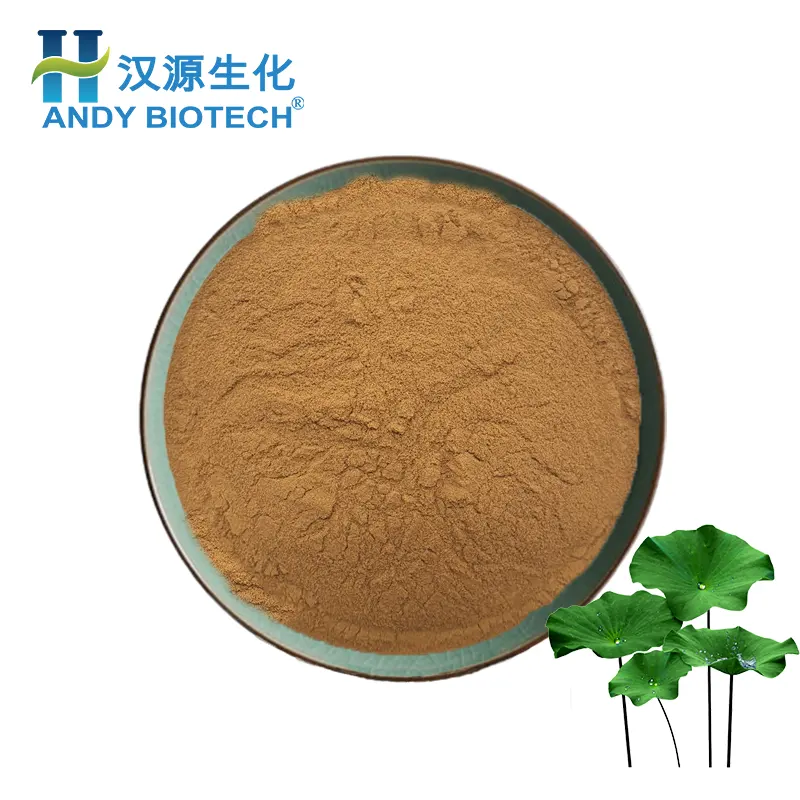 Wholesale supply Natural plant Lotus Leaf Extract Powder Lotus Leaf Powder Lotus leaf extract 10:1