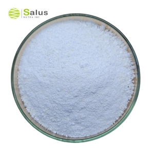 Andrographis paniimmune ta ekstresinden Andrographolide 10% 50% 98% bağışıklığı destekler, sindirim, iştah ve düzenliliği destekler - Product Image 3