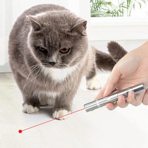 Gatto Laser giocattolo USB ricarica luce LED puntatore torcia ricaricabile UV torcia penna 5 modelli Laser penna gatto giocattoli - Product Image 3