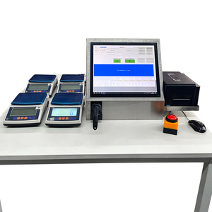 0.1g Electronic Balance Docking <strong>Computer</strong> Data Storage Intelligent Batching Weighing System Customizable Batching Systems - Product Image 1