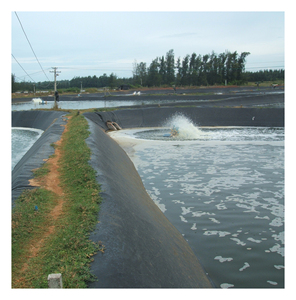 Geomembrane สีดำ/หยาบ/เรียบ - Product Image 1