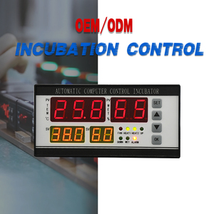 Controlador de termostato de incubadora de huevos pequeños automático <span class=keywords><strong>Digital</strong></span> de alta calidad para control de humedad y temperatura - Product Image 2