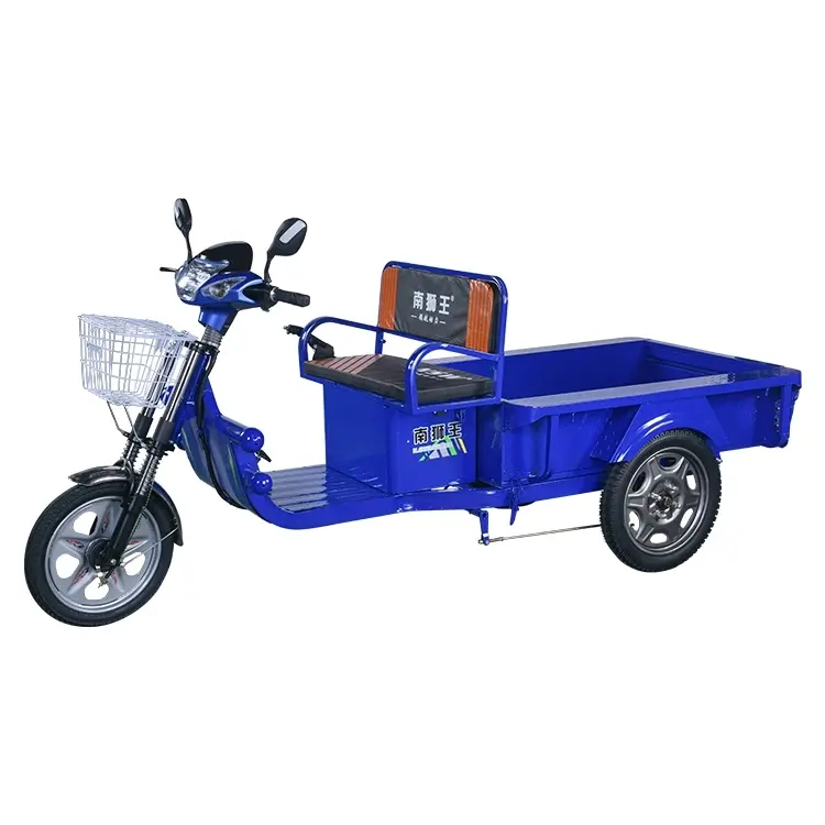 High Brightness Scheinwerfer 650w 800w Dreirad Elektro Dreirad Adult Motorrad Trike für Transport Fracht