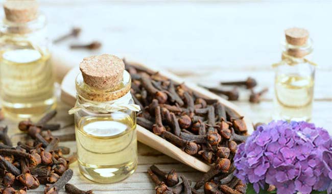 Huile essentielle de clous de girofle 100% pure et naturelle extraite de feuilles de clous de girofle 0