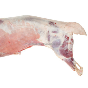 散装羊肉胎体冷冻羊肉胎体销售折扣