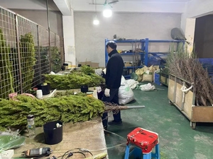 High Quality Tall Cedar Tree Artificial Boxwood Grass High Quality <strong>Cypress</strong> Tree in PE Material - Product Image 6