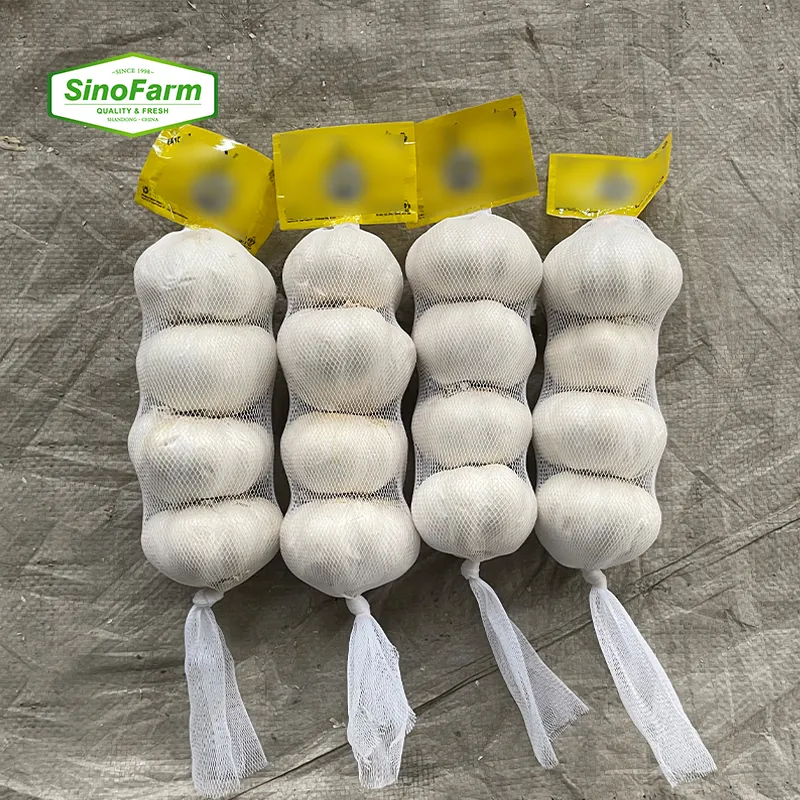 Alho fresco da nova safra da China, alho branco normal e puro para venda do fabricante de alho