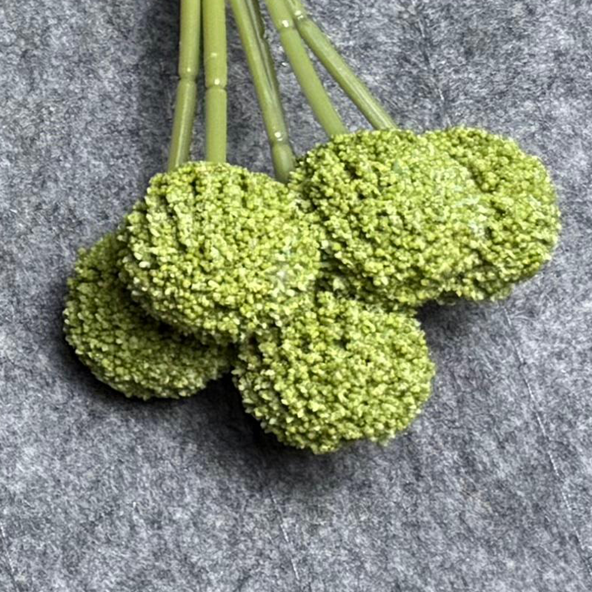7 Stems 7 heads 62cm Green