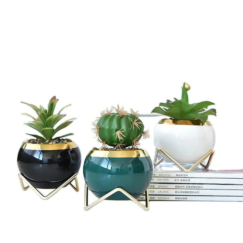 Pots de plantes succulentes émaillées modernes nordiques personnalisés de différentes tailles pot de fleurs d'intérieur avec support en fer sans support