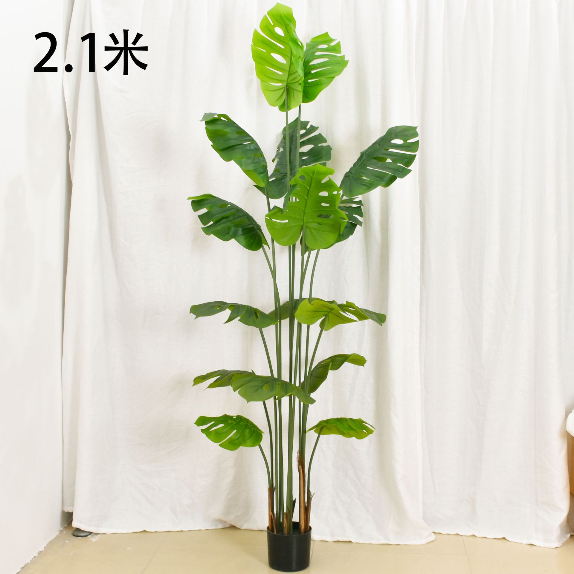 21m-bamboo simulation