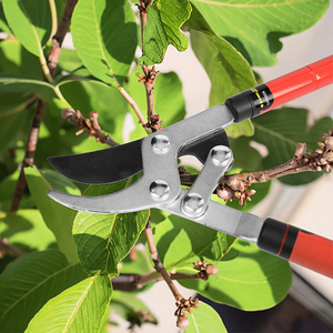 Kính thiên văn xử lý cây chi nhánh Công cụ Cắt mở rộng chi nhánh cắt tỉa cắt bỏ qua lopper cho cảnh quan - Product Image 2