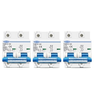 TOMZN TOB1Z-125 2P 80A 100A 125A DC MCB 600V PVシステム用サーキットブレーカーCカーブMCBバッテリーメインスイッチ - Product Image 3