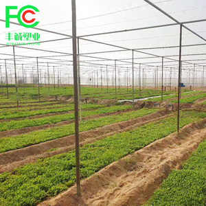 Transparent Agricultural Anti-Insects <strong>Nets</strong>, Hdpe Clear Insect Proof Mesh Orchard <strong>Cover</strong> Fruit <strong>Tree</strong> Protection <strong>Net</strong> - Product Image 6