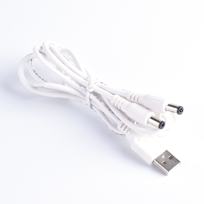 White - USB A to dual DC55*25