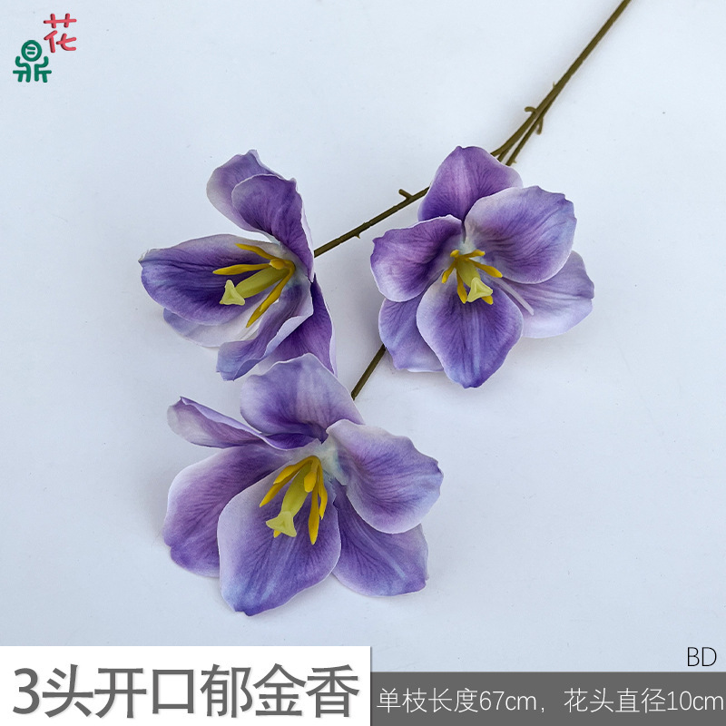 3-headed open tulip (BD) - Light purple