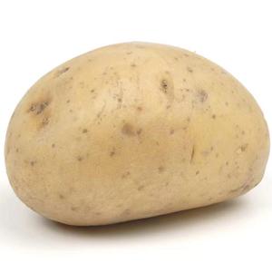 Fresh <strong>Potatoes</strong> Wholesale High Quality <strong>Potatoes</strong> Fresh Vegetables Available for Sale Now - Product Image 1