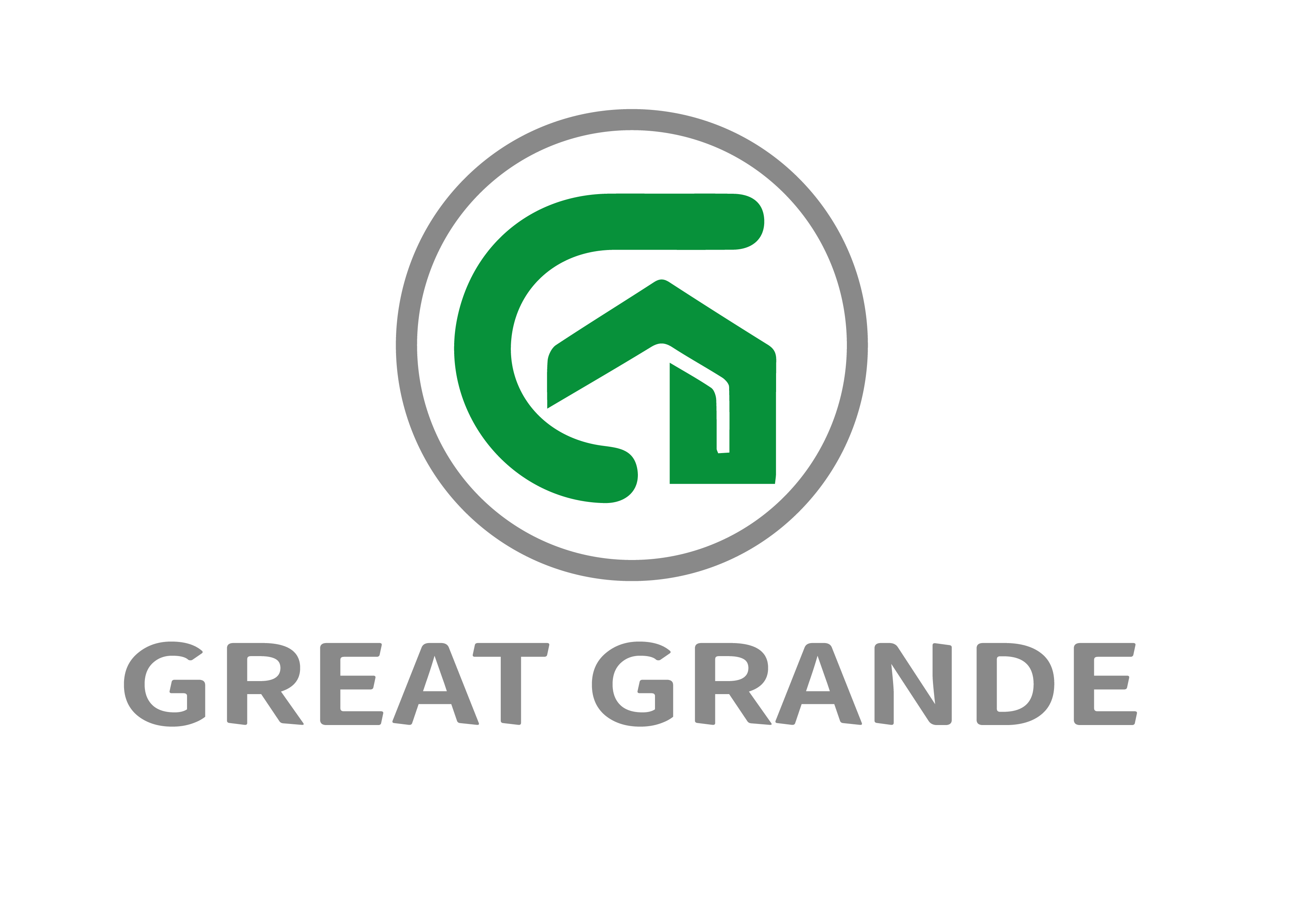 company logo