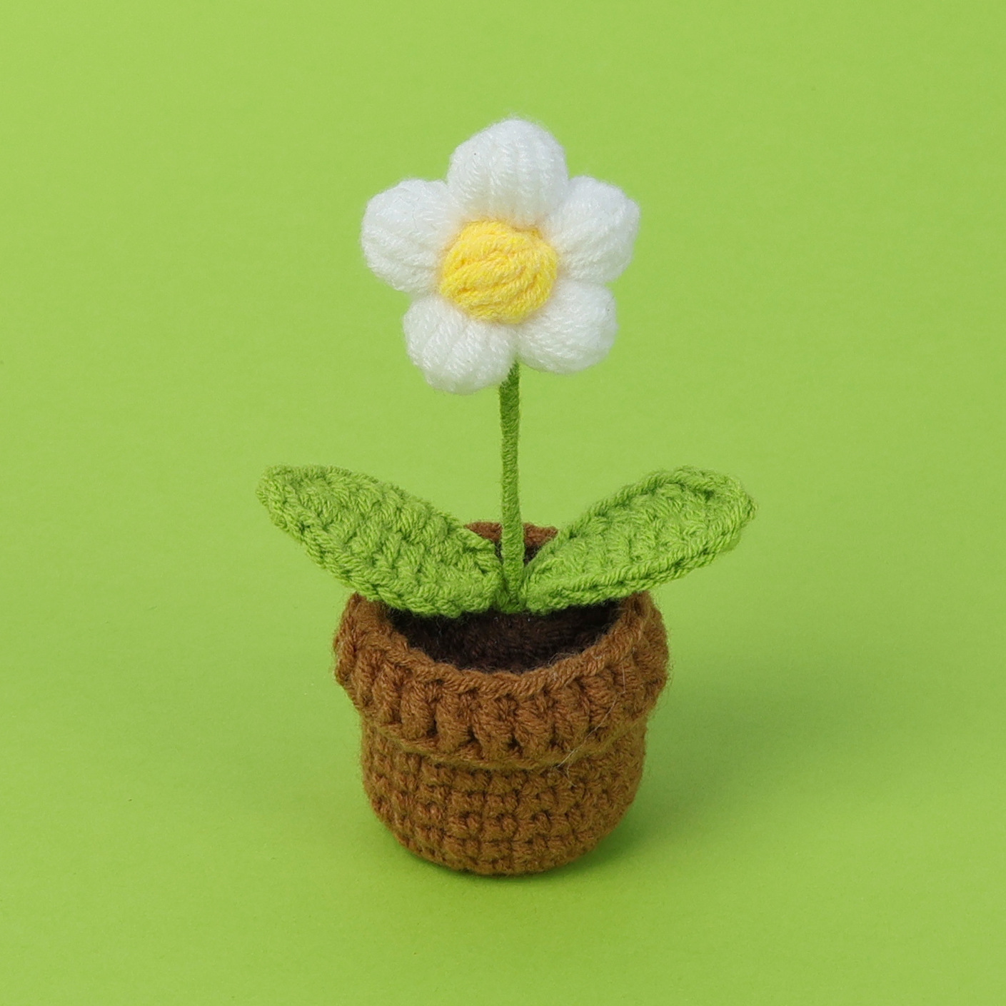 Plante en pot à fleurs blanches