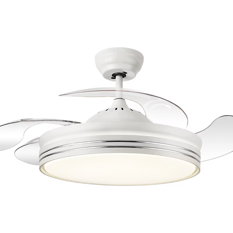 White-729