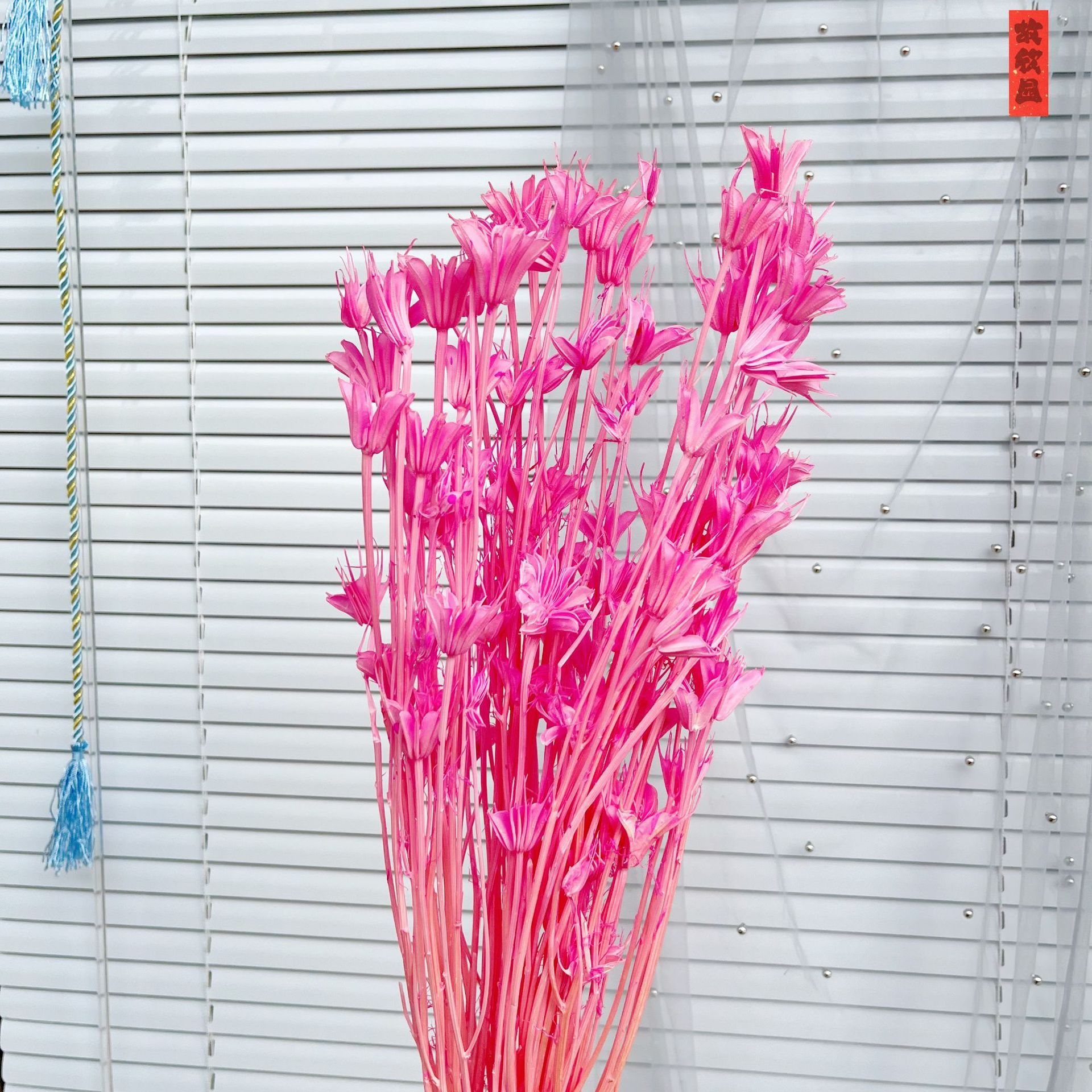 Magenta