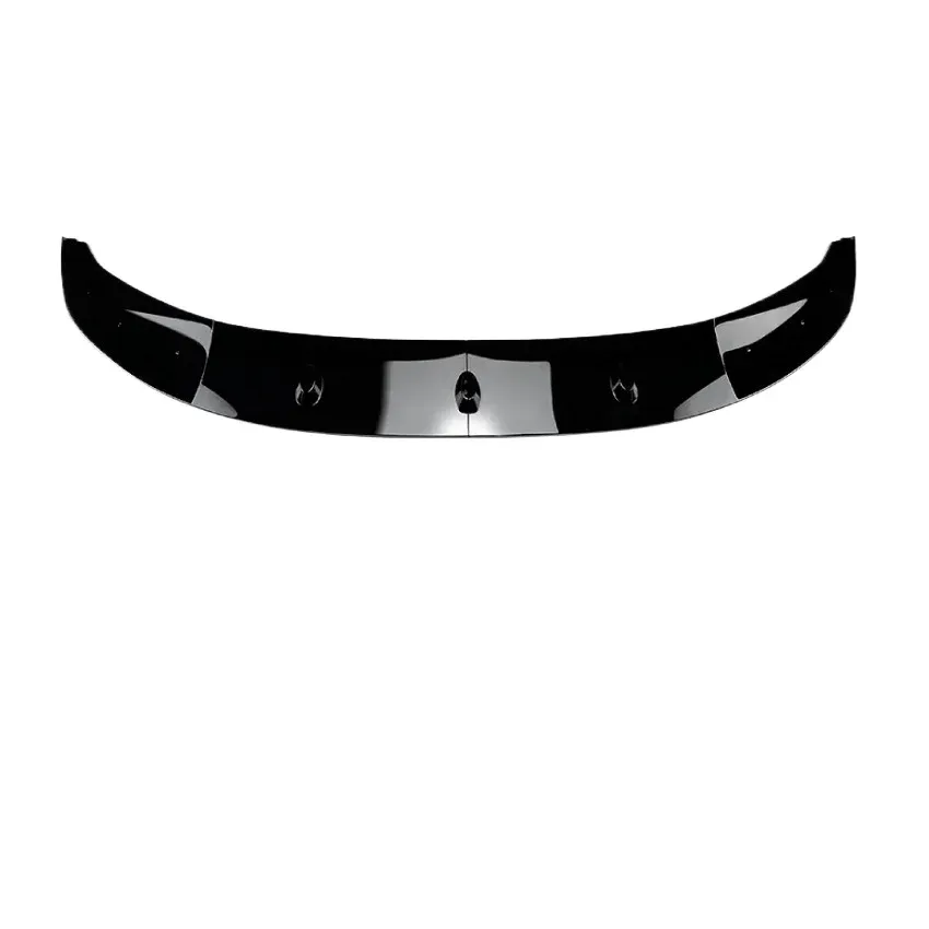 Lèvre noire brillante 2pcs