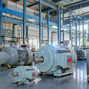 Wannan Elektrische Tycp Serie Driefasige Variabele Frequentie Aandrijving Permanente Magneet Synchrone Motor | 200Hz | Directe Aandrijving - Product Image 1