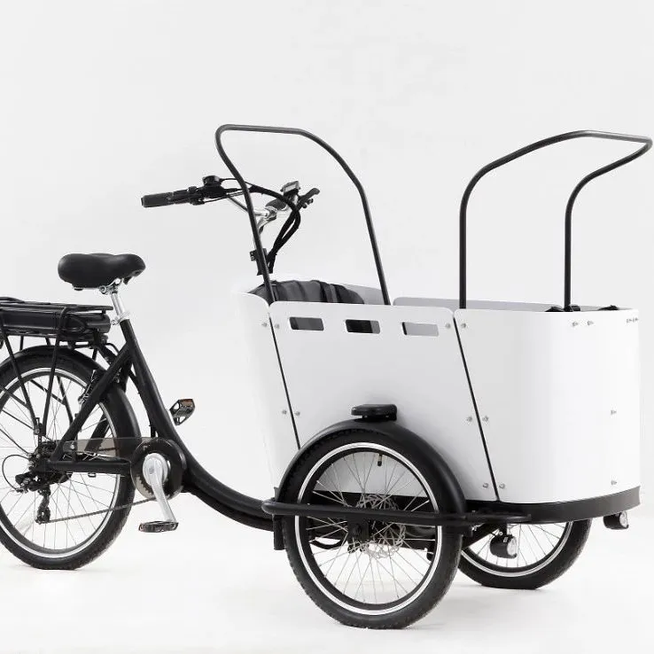 OEM Sepeda Kargo Belanda 3 Roda 3, Gaya Baru 250W Muatan Depan Sepeda Kargo Keluarga Menggunakan Sepeda Listrik Es Krim Sepeda Roda Tiga untuk Obral