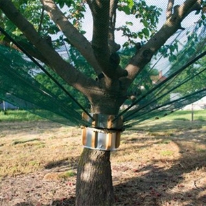 ใหม่ 100% HDPE การเกษตรผลไม้เก็บเกี่ยวสุทธิการคุ้มครองสิ่งแวดล้อมทนทาน Olive Vintage ตาข่าย Olive Net - Product Image 1
