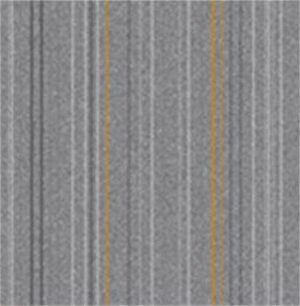 Gris9