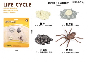 PVC katı simülasyon böcek oyuncak büyüme döngüsü yaşam modeli eğitim öğretim araçları kelebek arı çocuk oyuncak - Product Image 6
