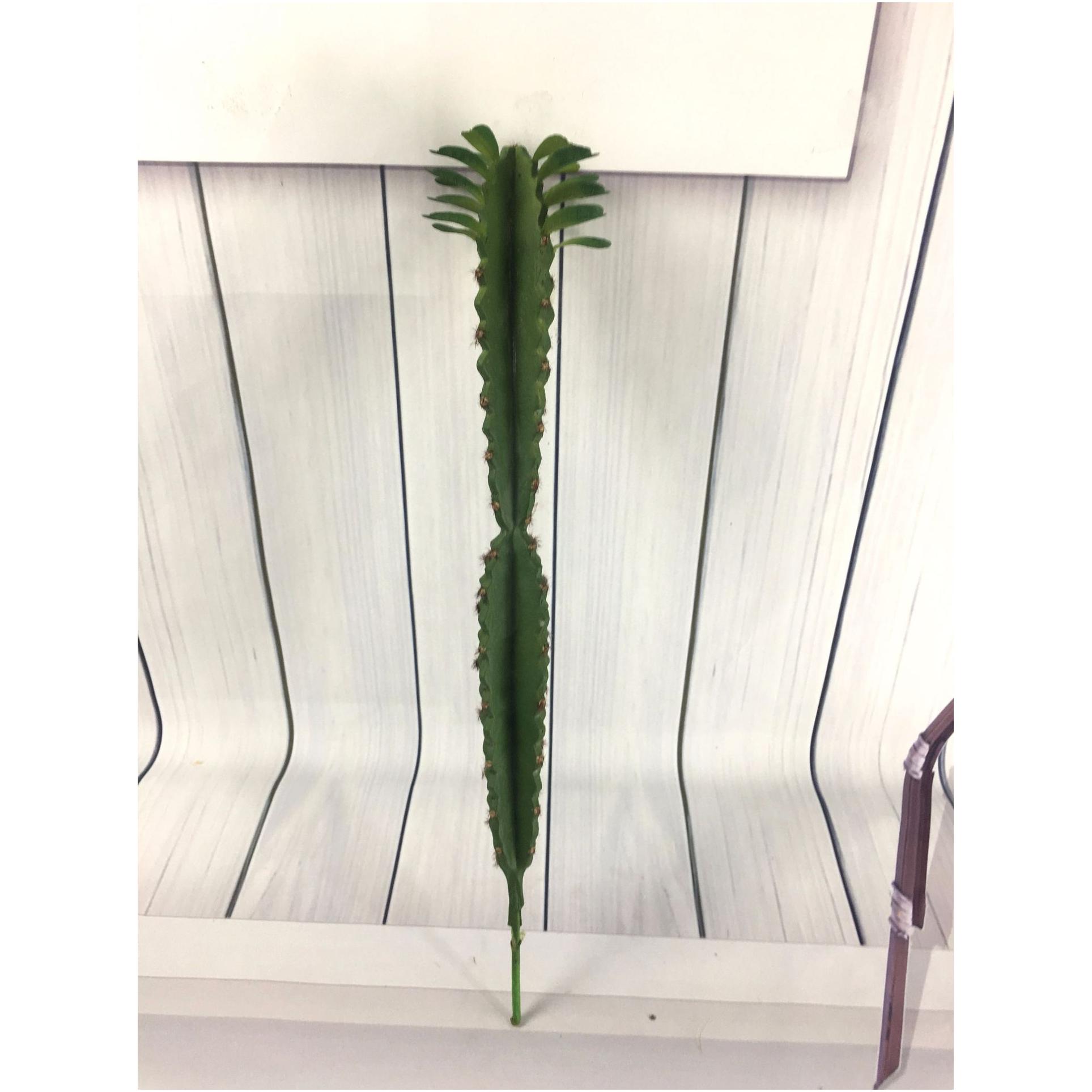 YD0232- 38CM