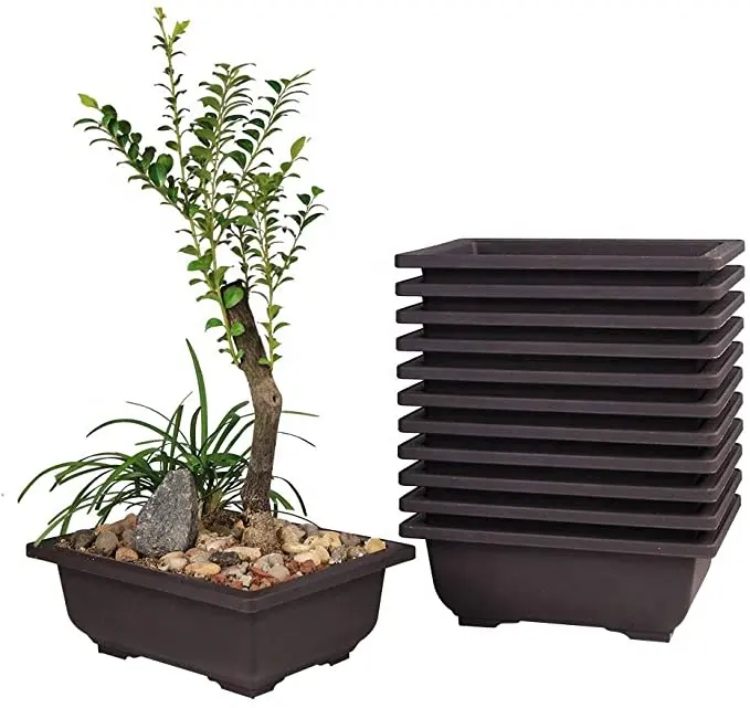 Macetas para bonsaï jardin fournitures grossistes rectangle bonsaï fleur pots bonsaï bon marché